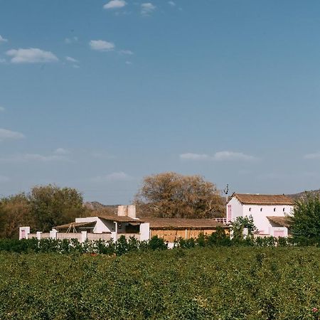 The Luxe Pushkar - A Luxury Farmstay In 布什格尔 外观 照片
