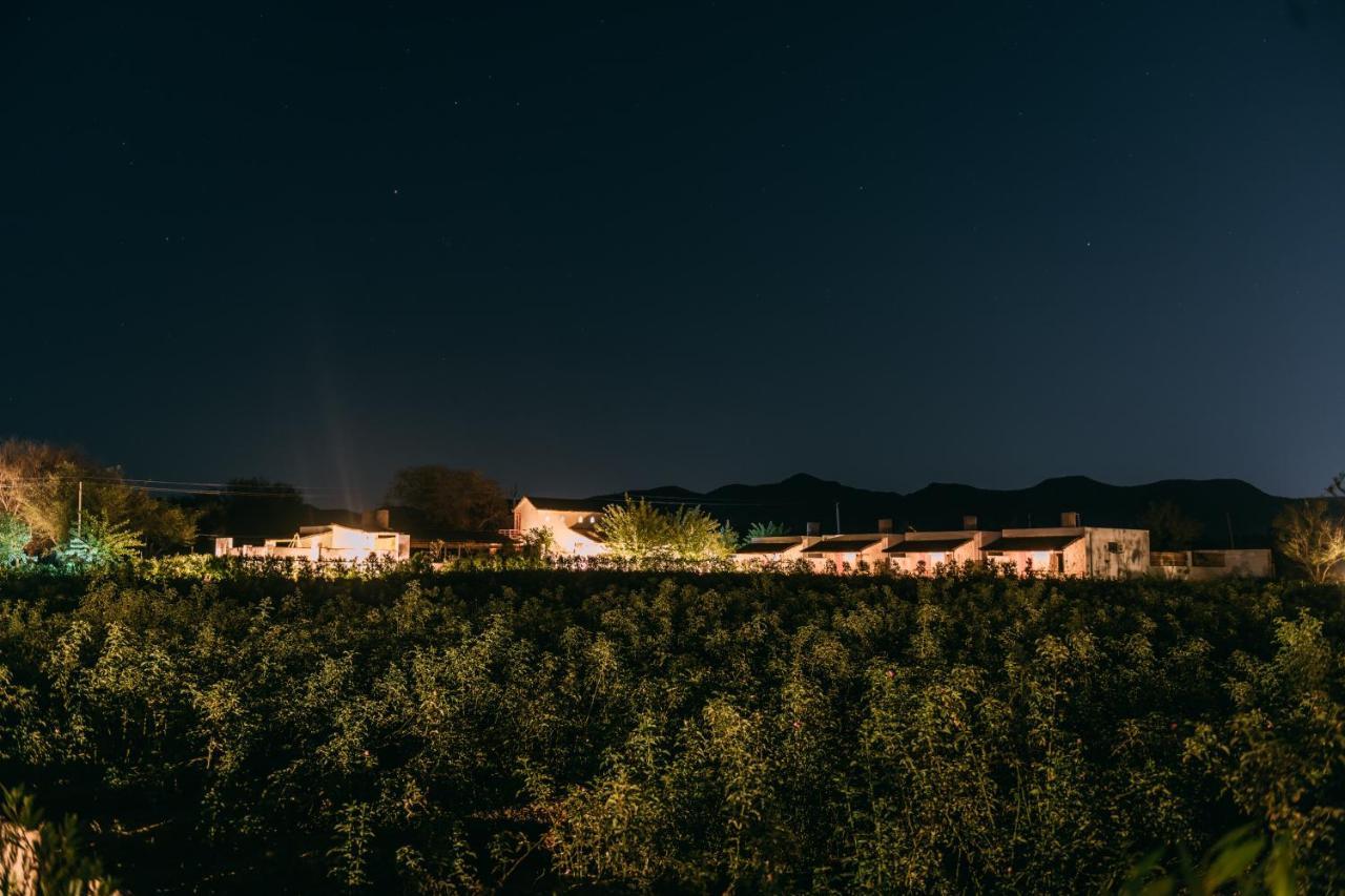 The Luxe Pushkar - A Luxury Farmstay In 布什格尔 外观 照片