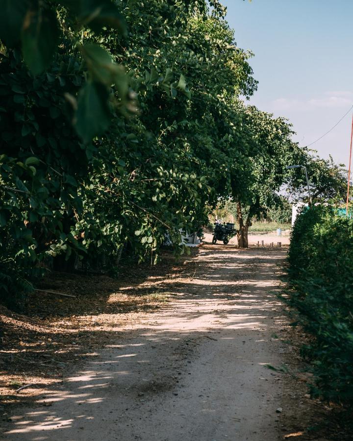 The Luxe Pushkar - A Luxury Farmstay In 布什格尔 外观 照片