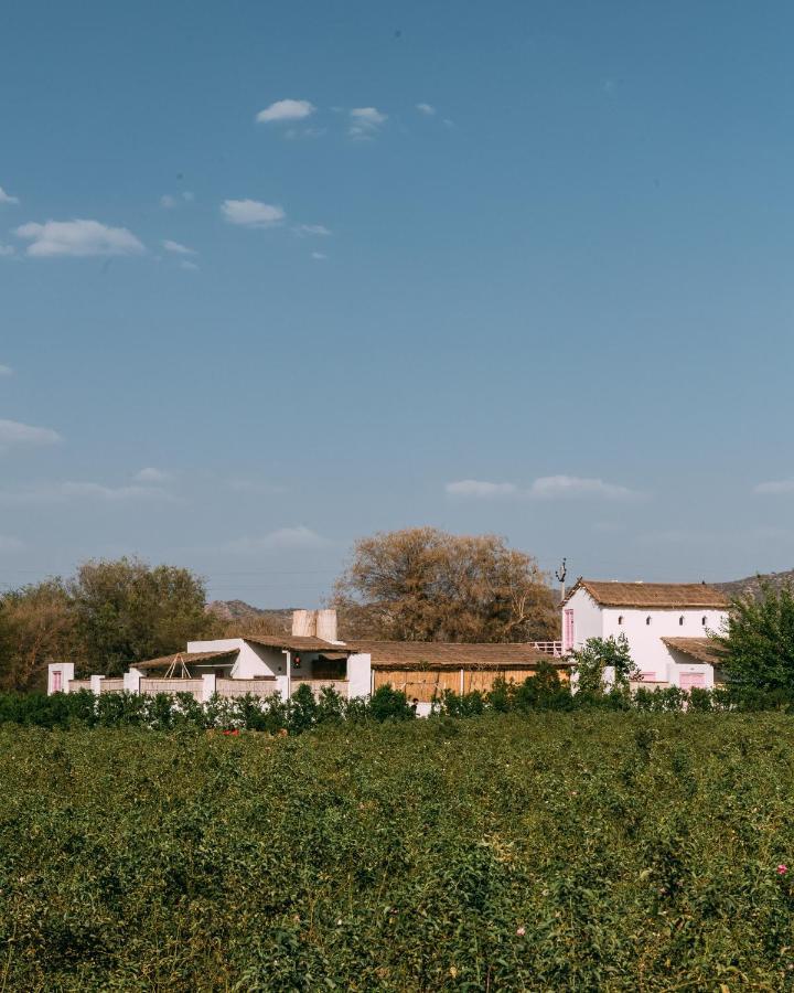 The Luxe Pushkar - A Luxury Farmstay In 布什格尔 外观 照片