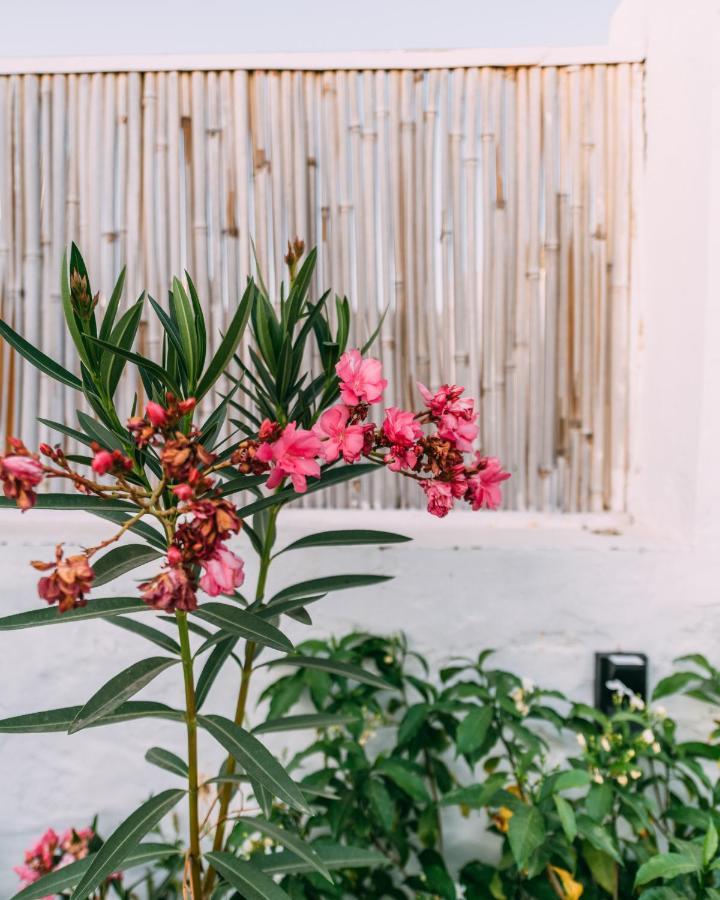 The Luxe Pushkar - A Luxury Farmstay In 布什格尔 外观 照片